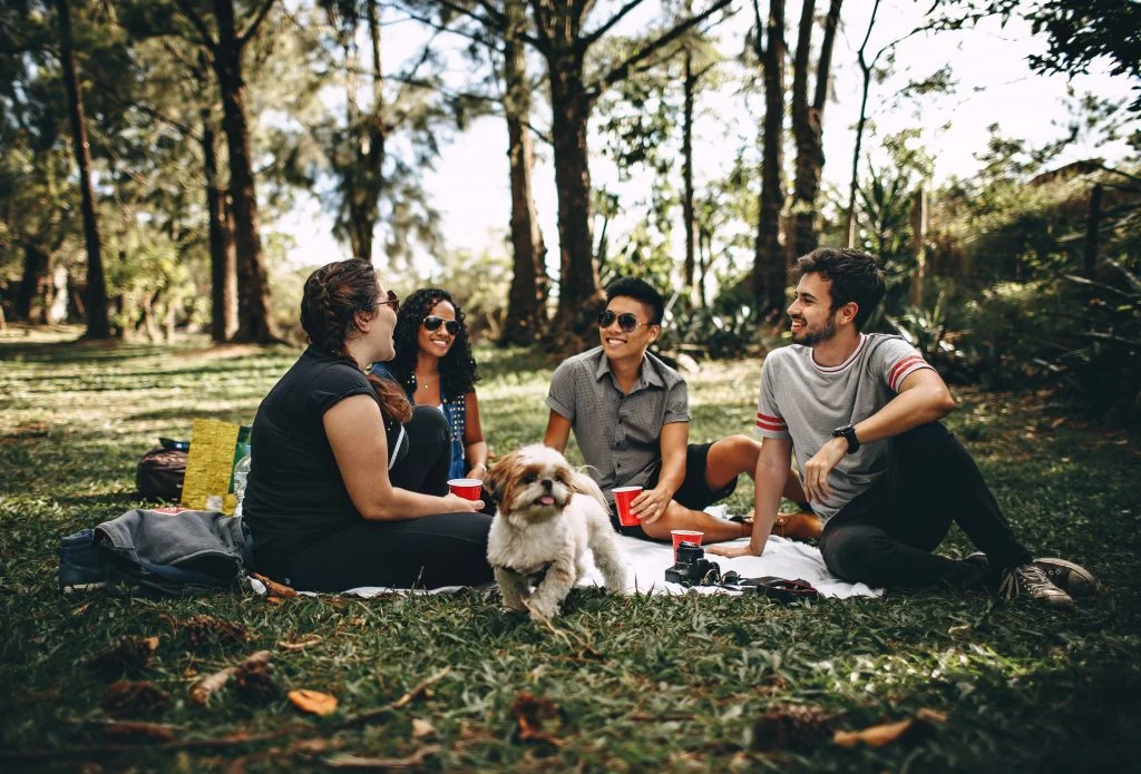 Group of friends and dog sitting on green grass