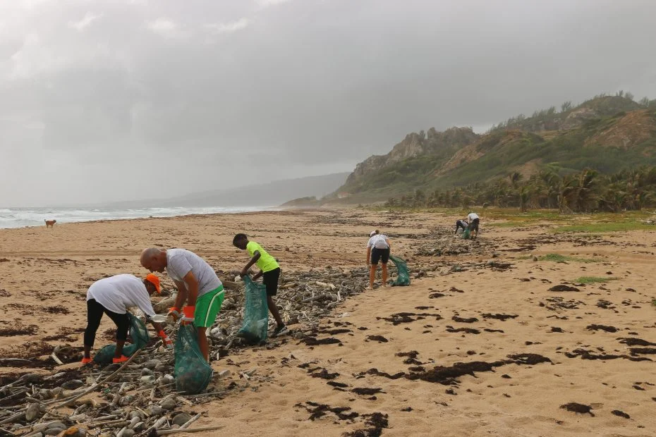 Group of people clearing up trash on a beach
