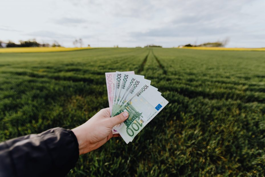 Hand with money in front of a green field